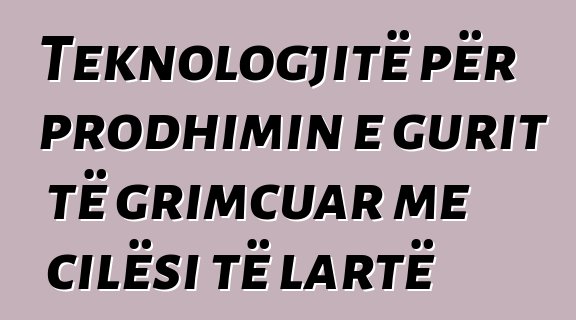 Teknologjitë për prodhimin e gurit të grimcuar me cilësi të lartë