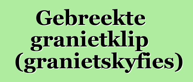 Gebreekte granietklip (granietskyfies)