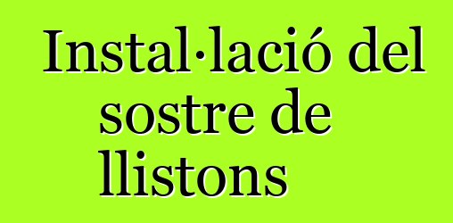 Instal·lació del sostre de llistons