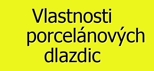 Vlastnosti porcelánových dlaždic