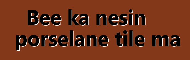 Bɛɛ ka ɲɛsin porselanɛ tile ma