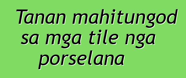 Tanan mahitungod sa mga tile nga porselana