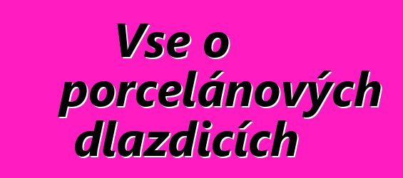 Vše o porcelánových dlaždicích