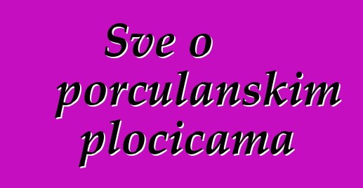 Sve o porculanskim pločicama