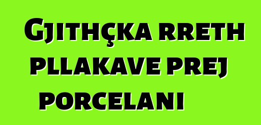 Gjithçka rreth pllakave prej porcelani