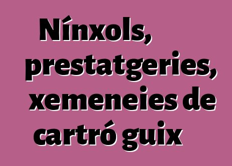 Nínxols, prestatgeries, xemeneies de cartró guix