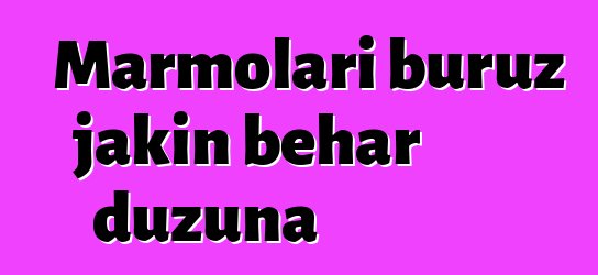 Marmolari buruz jakin behar duzuna