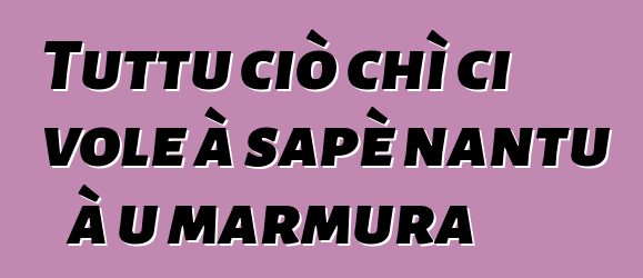 Tuttu ciò chì ci vole à sapè nantu à u marmura