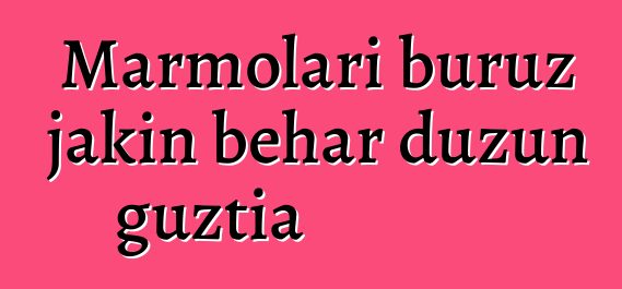 Marmolari buruz jakin behar duzun guztia