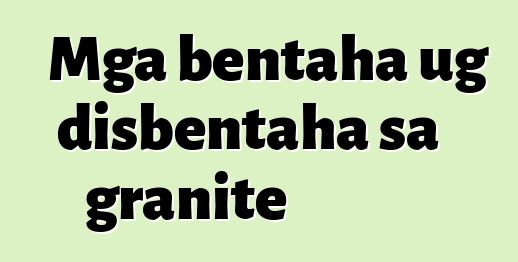 Mga bentaha ug disbentaha sa granite