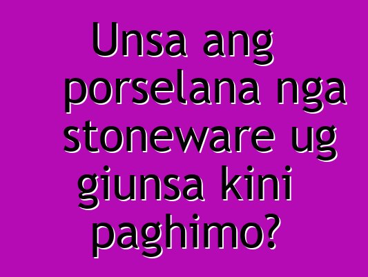 Unsa ang porselana nga stoneware ug giunsa kini paghimo?