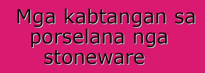 Mga kabtangan sa porselana nga stoneware