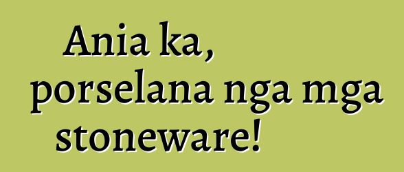 Ania ka, porselana nga mga stoneware!