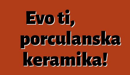 Evo ti, porculanska keramika!