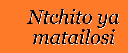 Ntchito ya matailosi