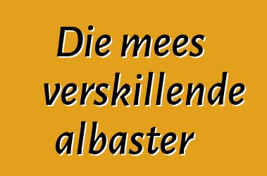 Die mees verskillende albaster