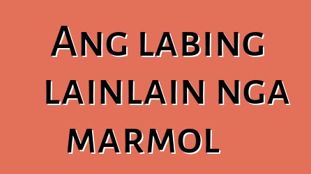 Ang labing lainlain nga marmol