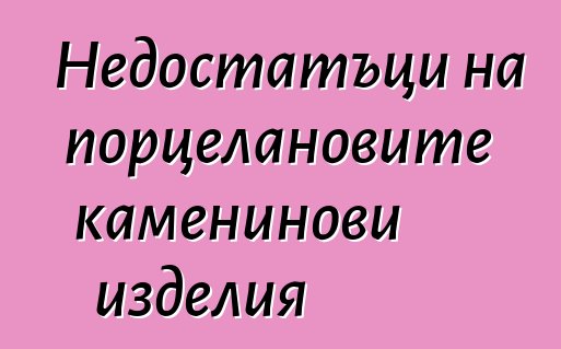 Недостатъци на порцелановите каменинови изделия