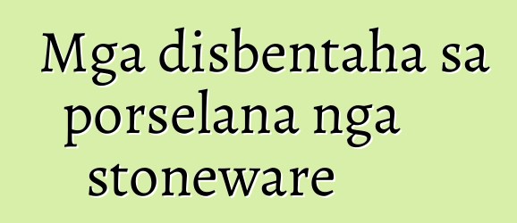 Mga disbentaha sa porselana nga stoneware