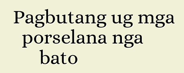 Pagbutang ug mga porselana nga bato