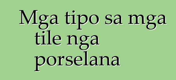 Mga tipo sa mga tile nga porselana