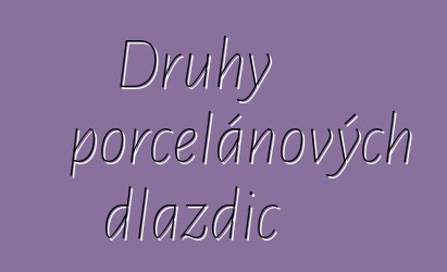 Druhy porcelánových dlaždic