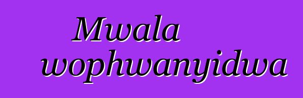 Mwala wophwanyidwa