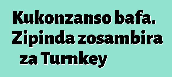 Kukonzanso bafa. Zipinda zosambira za Turnkey