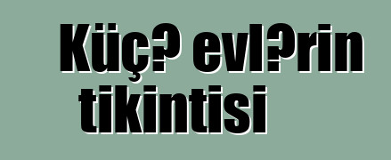 Küçə evlərin tikintisi