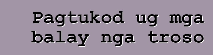 Pagtukod ug mga balay nga troso