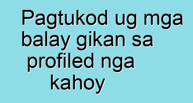 Pagtukod ug mga balay gikan sa profiled nga kahoy