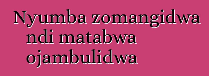 Nyumba zomangidwa ndi matabwa ojambulidwa