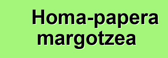 Homa-papera margotzea