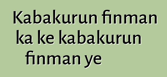 Kabakurun finman ka kɛ kabakurun finman ye