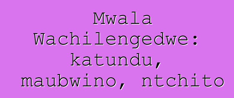 Mwala Wachilengedwe: katundu, maubwino, ntchito