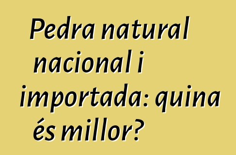 Pedra natural nacional i importada: quina és millor?