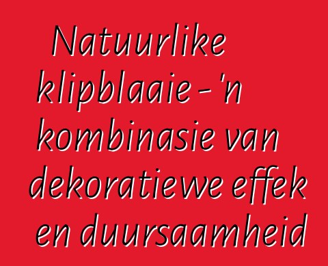 Natuurlike klipblaaie - 'n kombinasie van dekoratiewe effek en duursaamheid