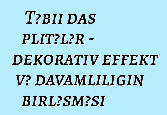 Təbii daş plitələr - dekorativ effekt və davamlılığın birləşməsi