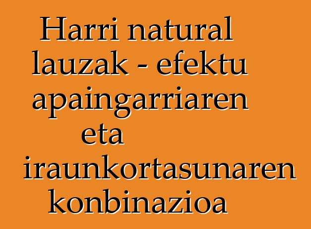 Harri natural lauzak - efektu apaingarriaren eta iraunkortasunaren konbinazioa