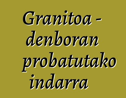 Granitoa - denboran probatutako indarra