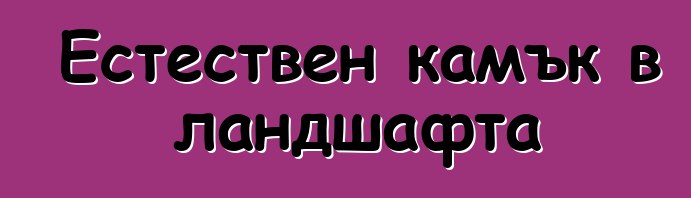 Естествен камък в ландшафта