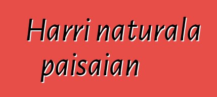 Harri naturala paisaian