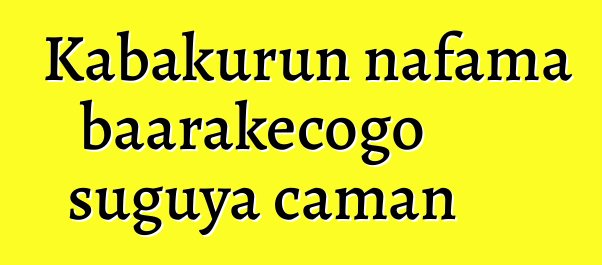 Kabakurun nafama baarakɛcogo suguya caman