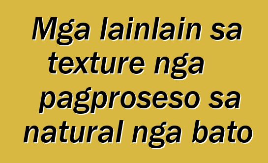 Mga lainlain sa texture nga pagproseso sa natural nga bato