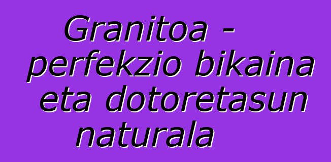 Granitoa – perfekzio bikaina eta dotoretasun naturala