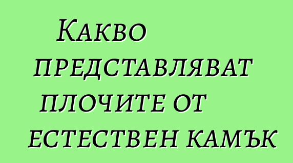 Какво представляват плочите от естествен камък