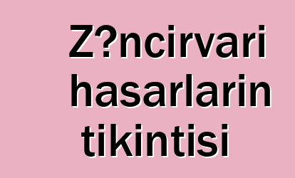 Zəncirvari hasarların tikintisi