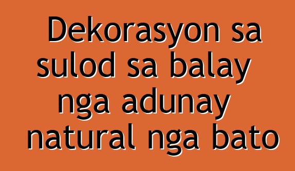 Dekorasyon sa sulod sa balay nga adunay natural nga bato