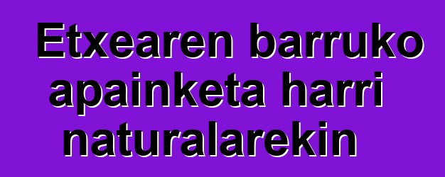 Etxearen barruko apainketa harri naturalarekin