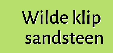 Wilde klip sandsteen